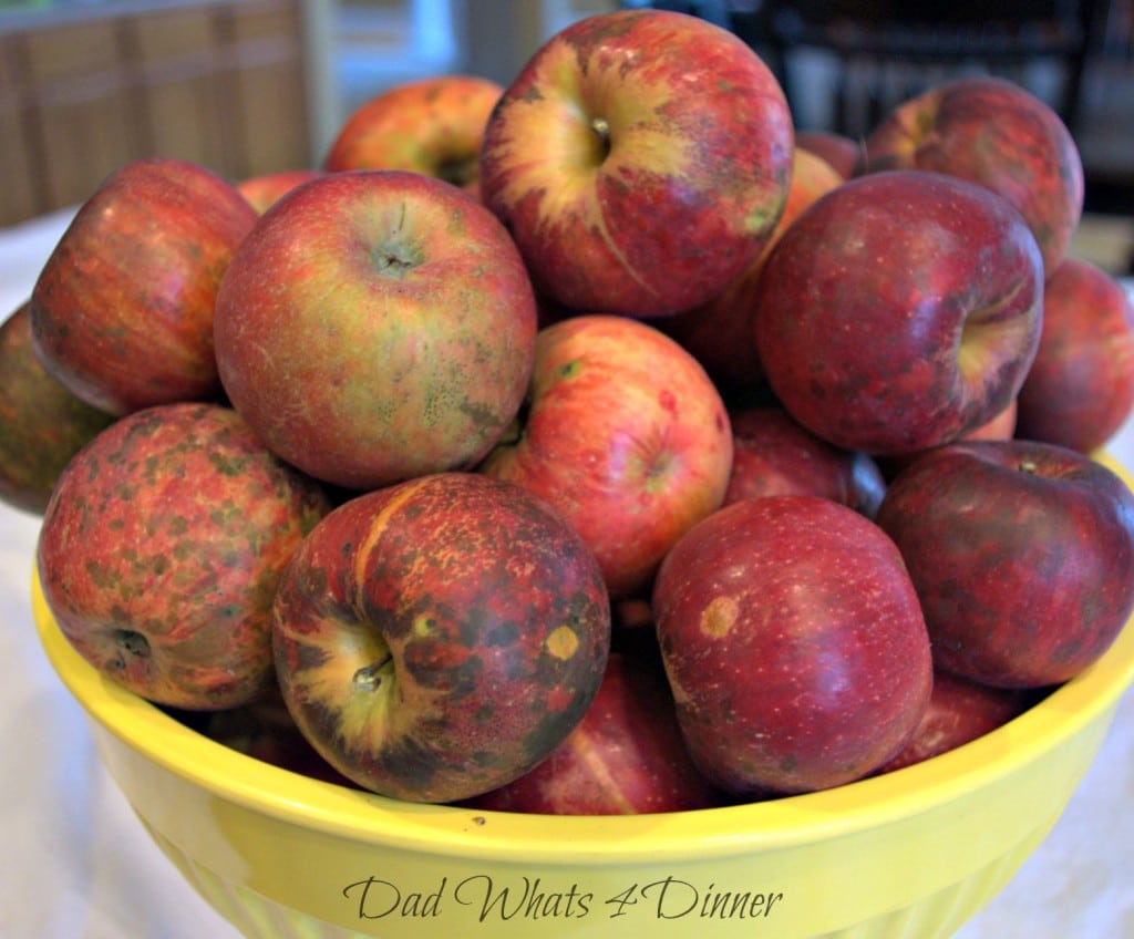 My Apple Harvest Bread is perfect to celebrate apple picking season.