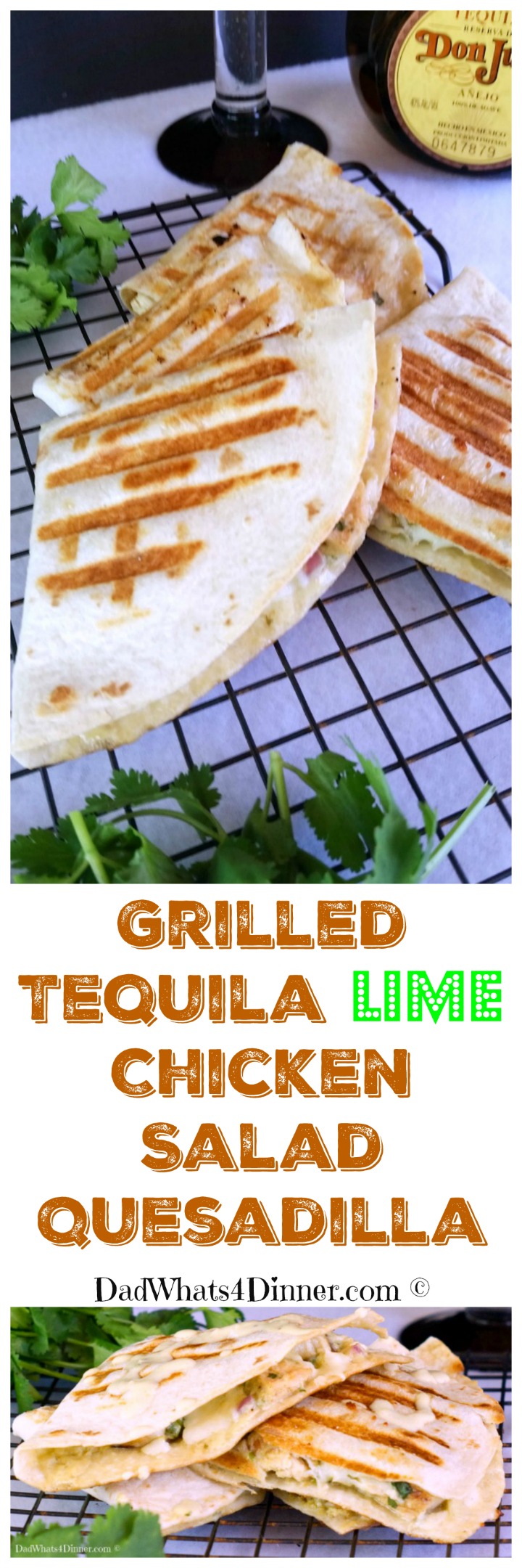Grilled Tequila Lime Chicken Salad Quesadilla is a fresh south of the border twist on same old chicken salad. Perfect for Cinco de Mayo!