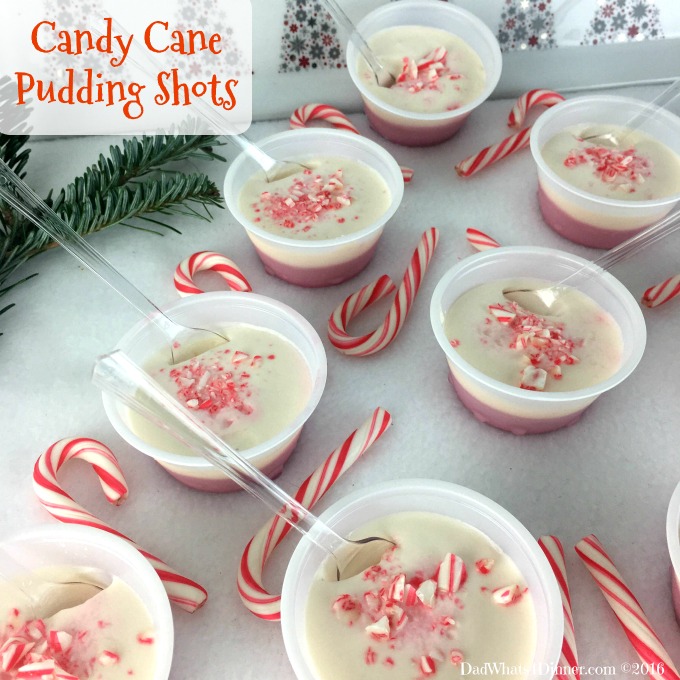 Your Christmas party will be Ho Ho Ho not Ho Ho Hum with these adult Candy Cane Pudding Shots. A favorite Christmas treat with a peppermint schnapps kick. 