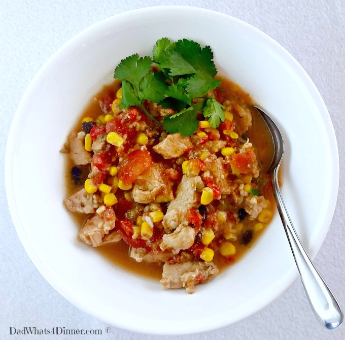 My easy Slow Cooker Mexican Pork Stew is an awesome weeknight meal. Loaded with protein and veggies.