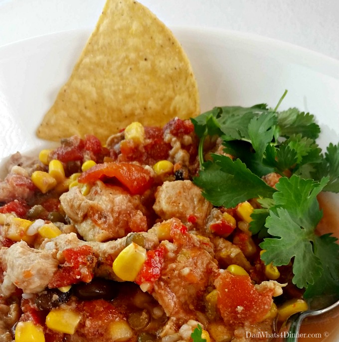 My easy Slow Cooker Mexican Pork Stew is an awesome weeknight meal. Loaded with protein and veggies.