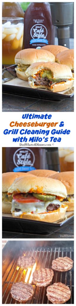 Summer grilling season is in full swing and my Ultimate Cheeseburger andGrill Cleaning Guide is all you need to keep the family fed and happy.