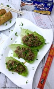Your family will love my Slow Cooker Ground Turkey Asian Lettuce Wraps. Slow cooked turkey with Asian inspired spices is sure to please! 