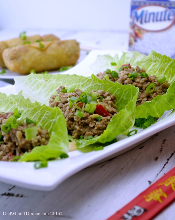 Your family will love my Slow Cooker Ground Turkey Asian Lettuce Wraps. Slow cooked turkey with Asian inspired spices is sure to please!