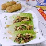 Your family will love my Slow Cooker Ground Turkey Asian Lettuce Wraps. Slow cooked turkey with Asian inspired spices is sure to please!