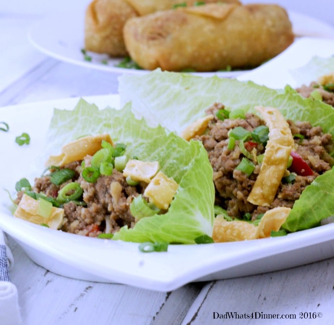 Your family will love my Slow Cooker Ground Turkey Asian Lettuce Wraps. Slow cooked turkey with Asian inspired spices is sure to please! 