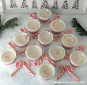 Your Christmas party will be Ho Ho Ho not Ho Ho Hum with these adult Candy Cane Pudding Shots. A favorite Christmas treat with a peppermint schnapps kick.