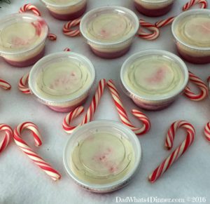 Your Christmas party will be Ho Ho Ho not Ho Ho Hum with these adult Candy Cane Pudding Shots. A favorite Christmas treat with a peppermint schnapps kick.