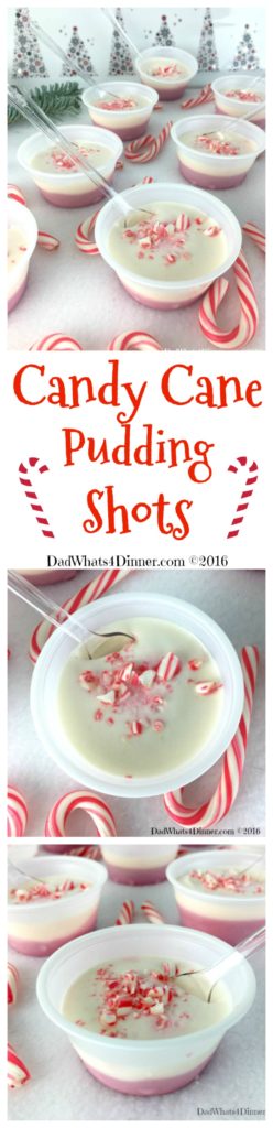 Your Christmas party will be Ho Ho Ho not Ho Ho Hum with these adult Candy Cane Pudding Shots. Your favorite Christmas treat with a nice little peppermint kick. Smooth and creamy!