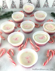 Your Christmas party will be Ho Ho Ho not Ho Ho Hum with these adult Candy Cane Pudding Shots. A favorite Christmas treat with a peppermint schnapps kick.