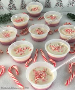 Your Christmas party will be Ho Ho Ho not Ho Ho Hum with these adult Candy Cane Pudding Shots. A favorite Christmas treat with a peppermint schnapps kick.