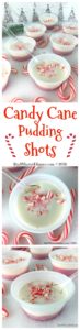 Your Christmas party will be Ho Ho Ho not Ho Ho Hum with these adult Candy Cane Pudding Shots. A favorite Christmas treat with a peppermint schnapps kick.