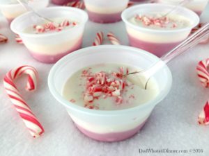 Your Christmas party will be Ho Ho Ho not Ho Ho Hum with these adult Candy Cane Pudding Shots. A favorite Christmas treat with a peppermint schnapps kick.