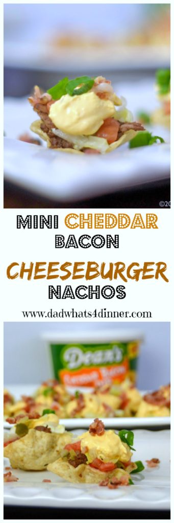 When you are craving the flavors of a cheeseburger but want finger foods instead then my Mini Cheddar Bacon Cheeseburger Nachos is sure to please. The perfect appetizer for the Big Game.
